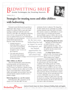 Bedwetting Brief Vol. 2, No. 2